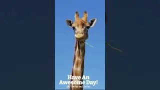 Cuteness Alert: Aww This Guy is SO CUTE! - Funny Animal Videos