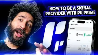 Best Forex Broker : How to Be a Signal Provider with PU Prime!