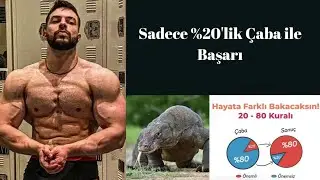 Komodo Ejderi'nin Zehri: Pareto Prensibi ile Kas Gelişimini Hızlandırmanın Sırrı