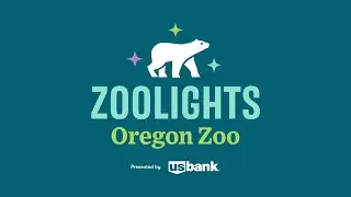 Experience The Magic Of ZooLights