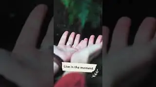 Ways to connect with nature #shorts #nature