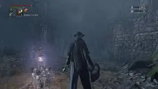 THEMACCAAGE Bloodbornezzzzzzzz