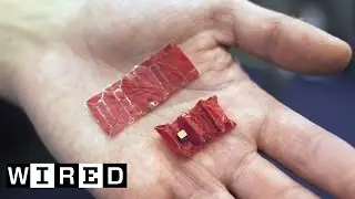 The Tiny Origami Robot You Can Eat | WIRED