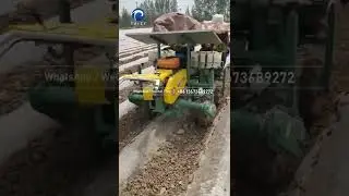 Self-propelled Chili Pepper Seedling  Transplanter Machine | Chili Pepper Planting Machine#seedlings