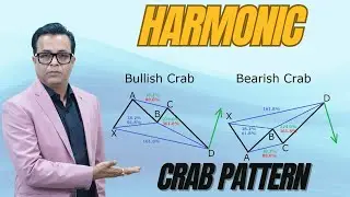 Harmonic CRAB Pattern Explained in Hindi : Step-by-Step Guide #codeviser