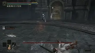 Twin Moon Knight meets Twin Savage Lion's Claw