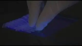 Rapid microbial detection - Environmental Biotechnology CRC