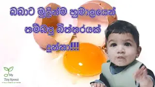 බබාට මුලින්ම බිත්තර දෙන හරිම විධිය මෙන්න!!!! Steam egg for baby. #babyfood  #eggrecipe  #egg