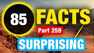 80 Weird Incredibly Amazing Facts