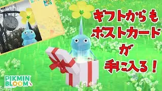 ギフトからもポストカードが手に入るようになったゾ！ポスカのちょっとした裏技も伝授【ピクミンブルーム/PikminBloom】