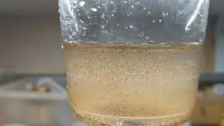 達叔愛亂搞-鬥魚開口餌  汽水微蟲 有需要的再訂閱，用不到的跳過，因為亂搞當然也是亂講，別認真。