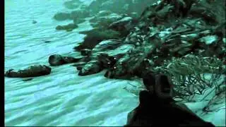 Medal of Honor Achievement Trophy Guide The Quiet Professional & Right in the Grape...