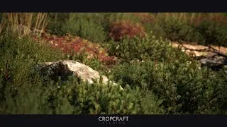 Unreal Engine 5 - Stone Pine Biome Forest Environment | Detail Shots