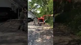 JJ tree service 2142906026