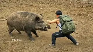 Silent Hunt in the Forest | Triệu Chiến Tracks a Wild Boar (ASMR Survival)