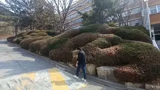 Beautiful Dong-Eui University in Busan, South Korea.