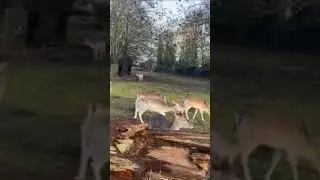 #nature#animals #park#daily #interesting #life #relax #walking