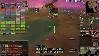 WoW Classic Temple of Ahn'Qiraj Princess Huhuran Druid Healer 26/08/2020 Pandemonium Mograine EU