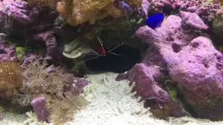 Fluval m90 Aquarium