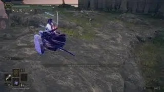 ELDEN RING afk host