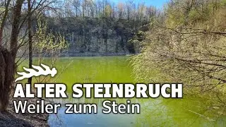 Alter Steinbruch in Weiler zum Stein - Die Wandlung zum Naturparadies