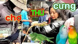 Khám phá phiên chợ Độc Lạ có 102. Rất nhiều thú cưng Đẹp
