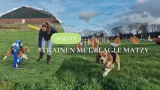 Agility parcours met Beagle Matzy! Behendigheid trainen 🐶 | Laura Sijbers VIEW