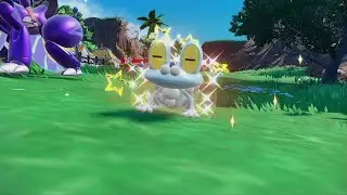 Hatching Shiny Froakie - 179 Eggs