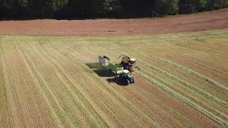 H&auml;ckseln Fr&uuml;hjahr 2020/ Fendt Vario 939/ New Holland FR550 forage cruiser