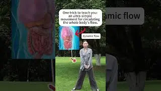 🔥 Ancient Chinese Organ Reset: 5-Minute Routine to Detox Your Whole Body #sports #taichi