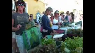 Playa Central&acute;s Farmers Market 2