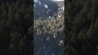 One of the Best Hikes in Boulder Colorado Featuring Bear Peak