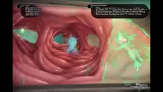 twilight midna internal