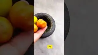 টক ঝাল কুল মাখা😋Bengali Style Kul Borta