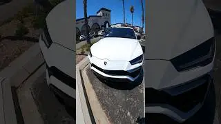 Lamborghini urus #trending #lamborghini #urus #white #gta #losangeles #lambo lambo