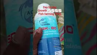 growth fish farming pyashi fish farming Bihar 2025 how to growth fish imc