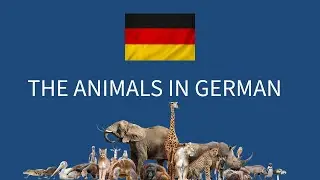 25 Animals in German (with Articles and Plural) - Learn German Vocabulary A1 / A2