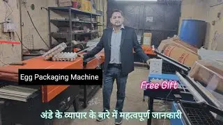 Call-9716482225| Egg Business। अंडे की ट्रे की सुंदर पैकिंग कैसे करें। अंडे के व्यापार के बारे में 