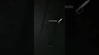 Legendary Item Locations in Red Dead Redemption 2 🔥