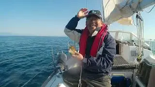 Fukumaru Fishing Club＃2　カワハギ