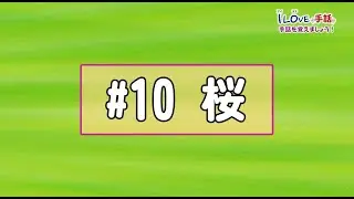 アイラブ手話「桜」