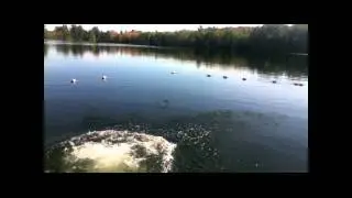 testzonedone