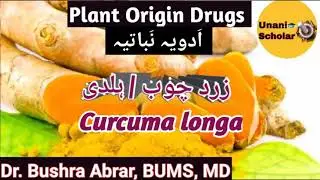Zard Chob /زرد چوب / ہلدی, Curcuma longa, Advia Mufradah lecture, plant origin drug