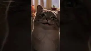 Smiling Cats