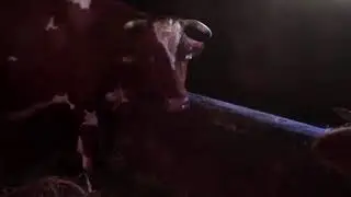 Toxic Mastitis and Sekonder Ketozis in Cattle(systemic inflammatory response syndrome)