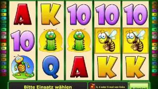 Bugs n Bees - Novoline Spielautomat Kostenlos Spielen