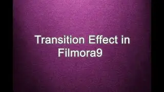 Transition Effect in Fimora9