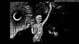 NIEUMARLI - May I kiss your wound?