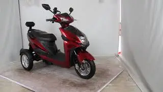 The Beast