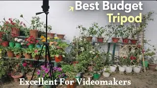 Best Budget Tripod  for Mobile & Camera Holder | Best For Video Maker | Honest Review